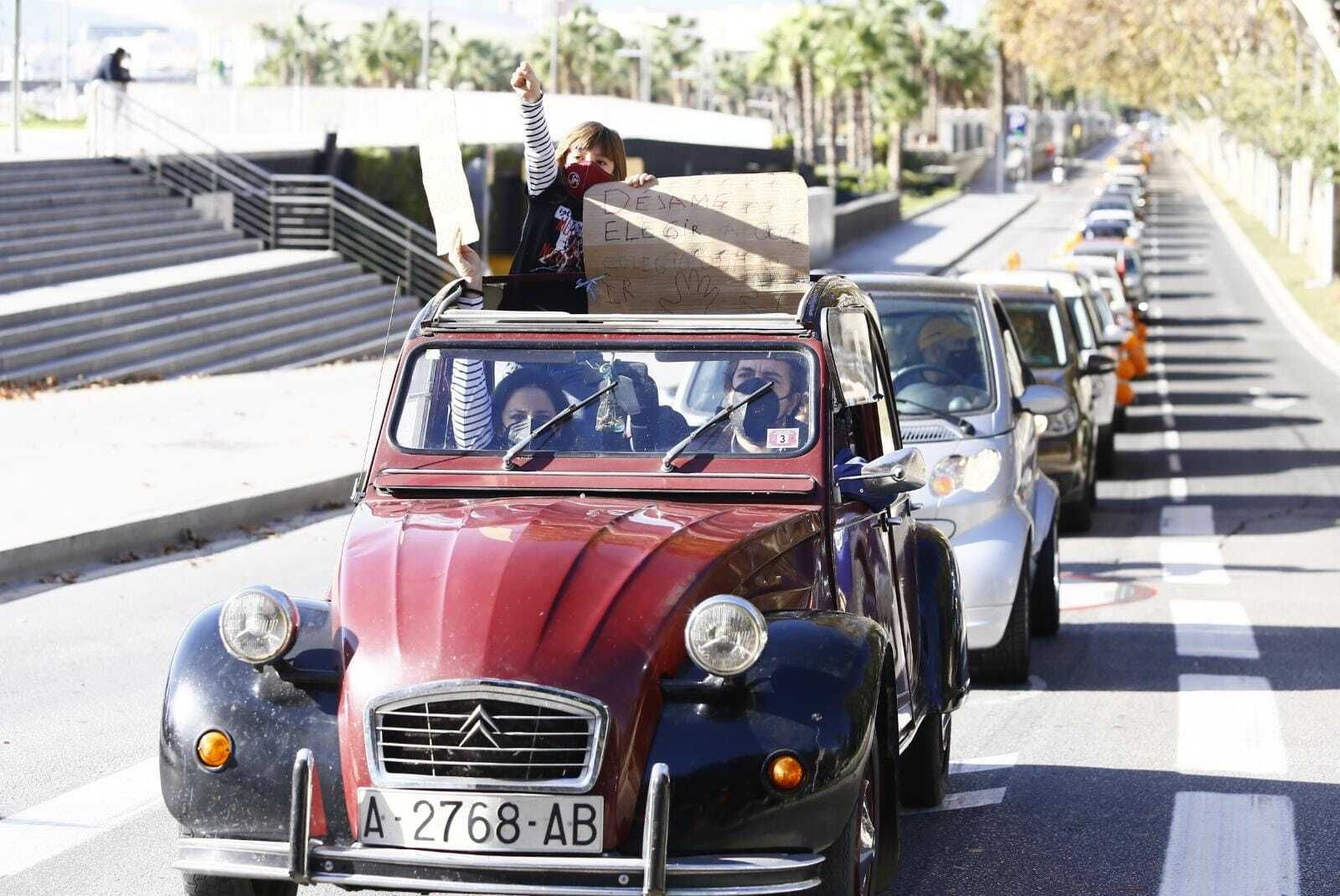 Fotos de la manifestación en Málaga contra la Ley Celaá