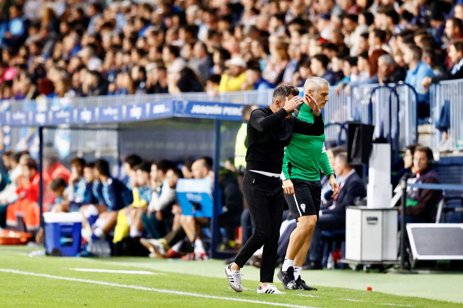 Las fotos del imponente ambiente en La Rosaleda en el Málaga - Córdoba CF