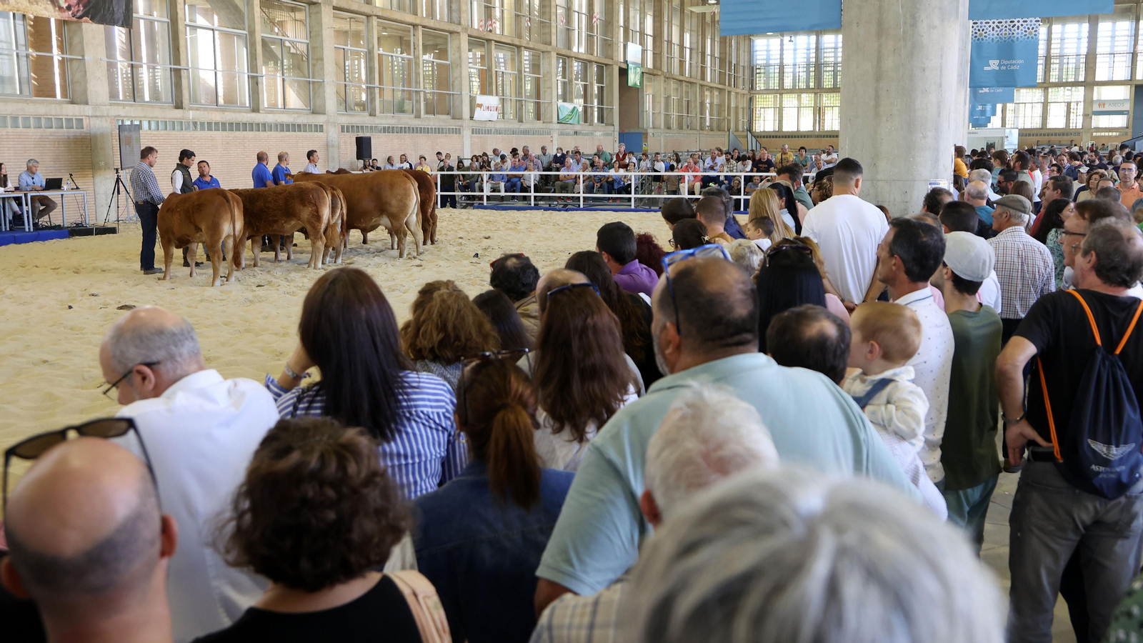 Gran afluencia de público en la clausura de Fegasur
