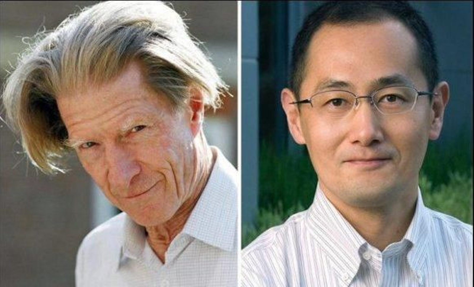 Gurdon y Yamanaka ganan el Nobel de Medicina 2012