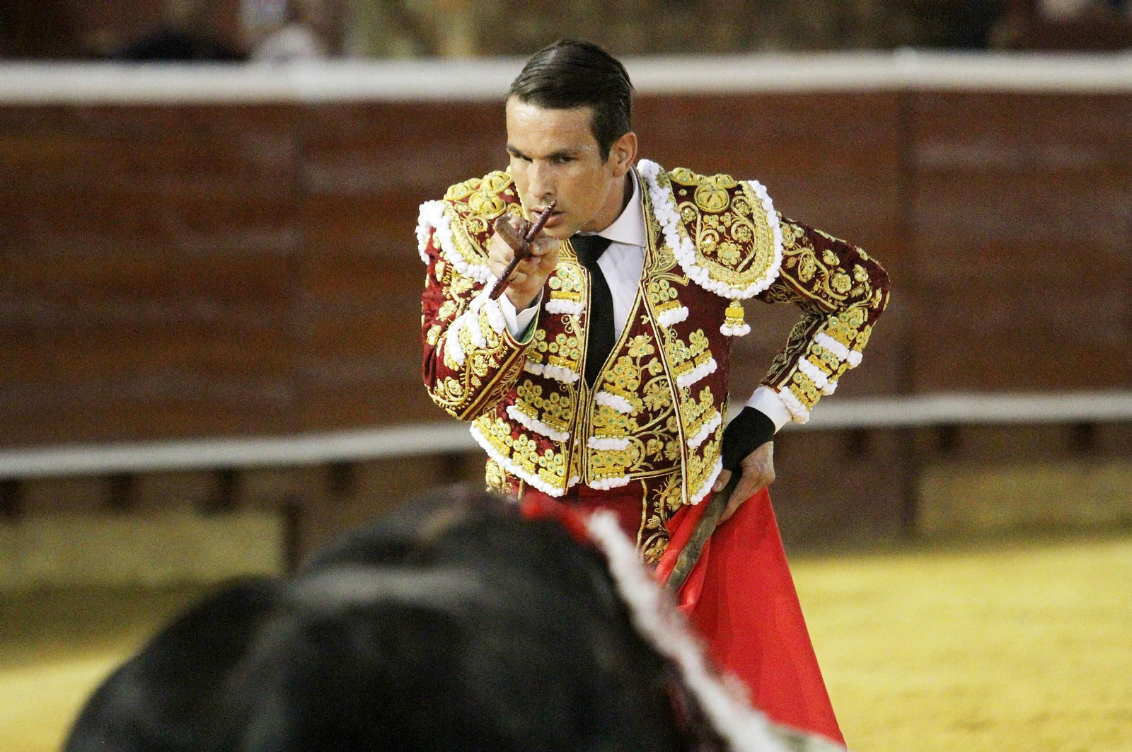 Imágenes de José María Manzanares durante la corrida de esta tarde en la Plaza de toros La Merced