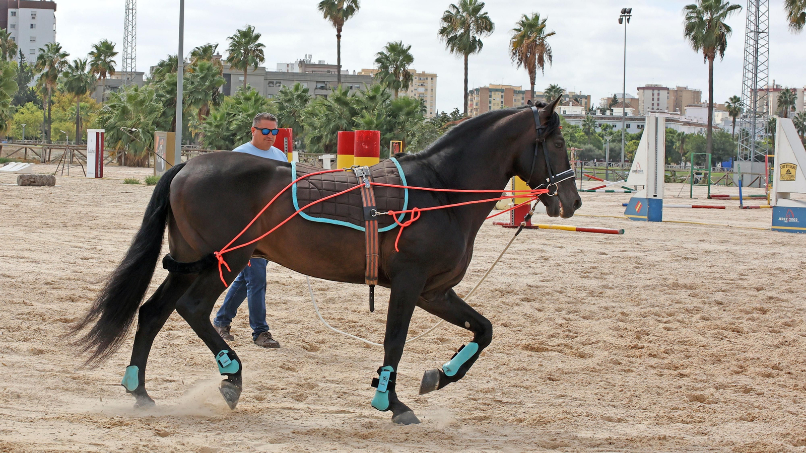 20 años después de los Juegos Ecuestres Mundiales Jerez 2002