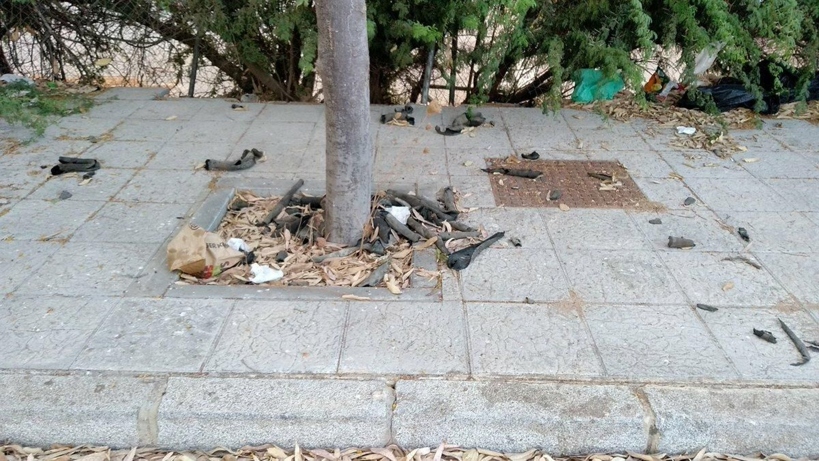 Galería de imágenes de la suciedad en distintos puntos de la ciudad.