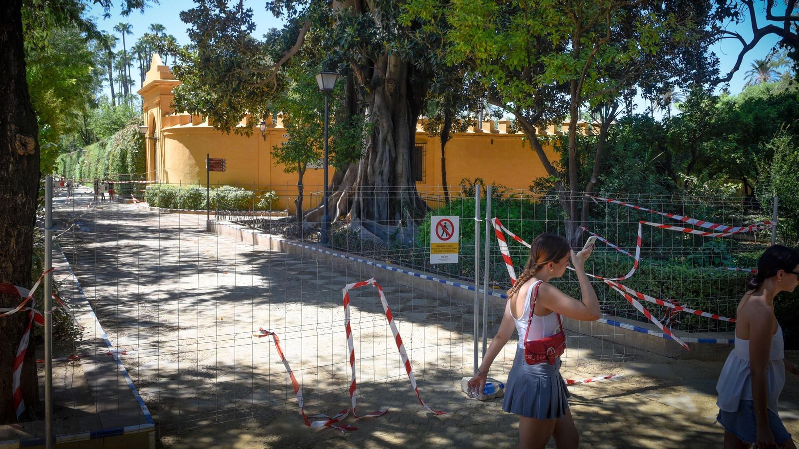 Dos viandantes pasan junto a la valla colocada a unos metros del ficus.
