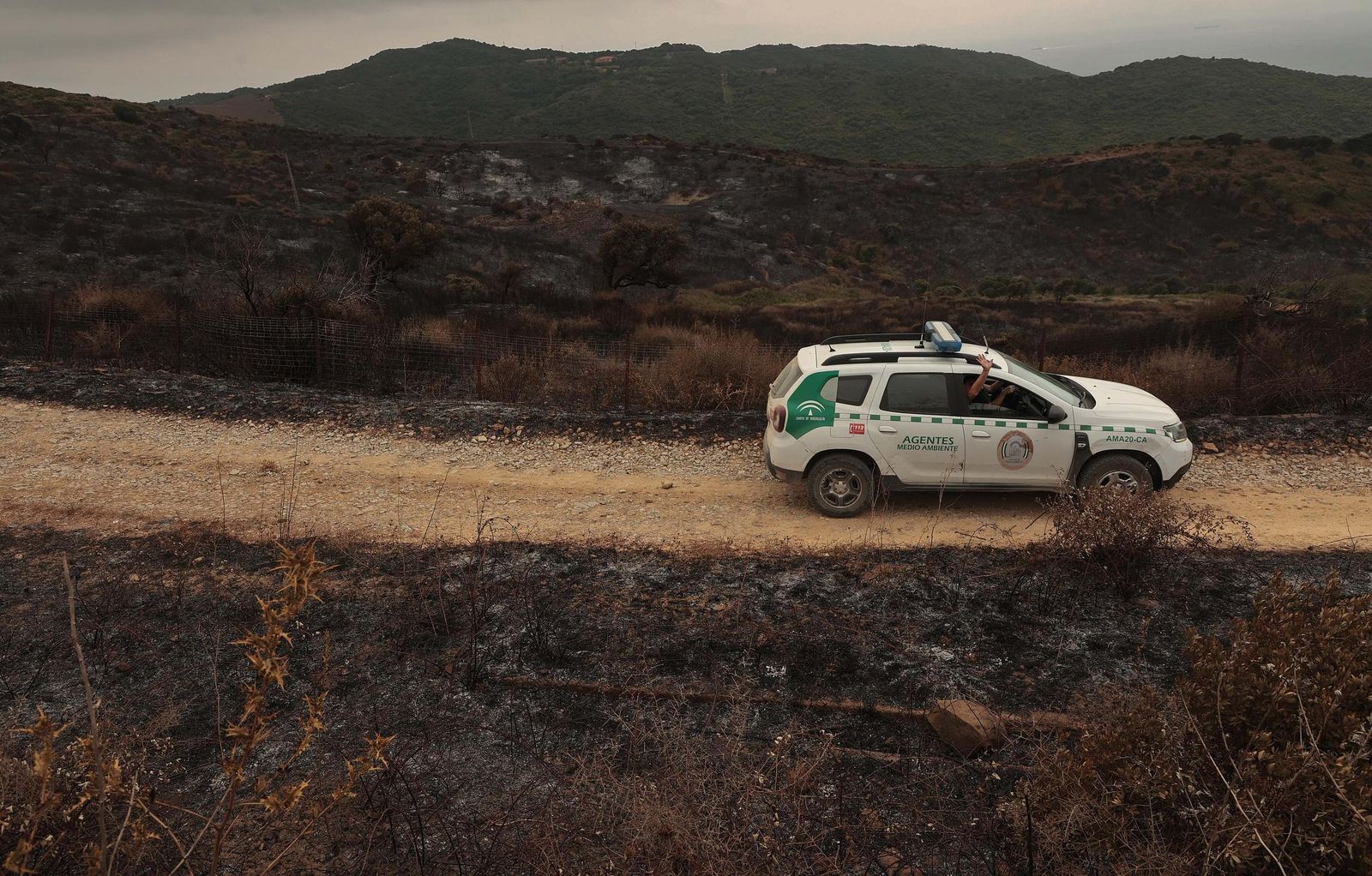 Fotos de los efectos del incendio en el Puerto del Laurel en Algeciras