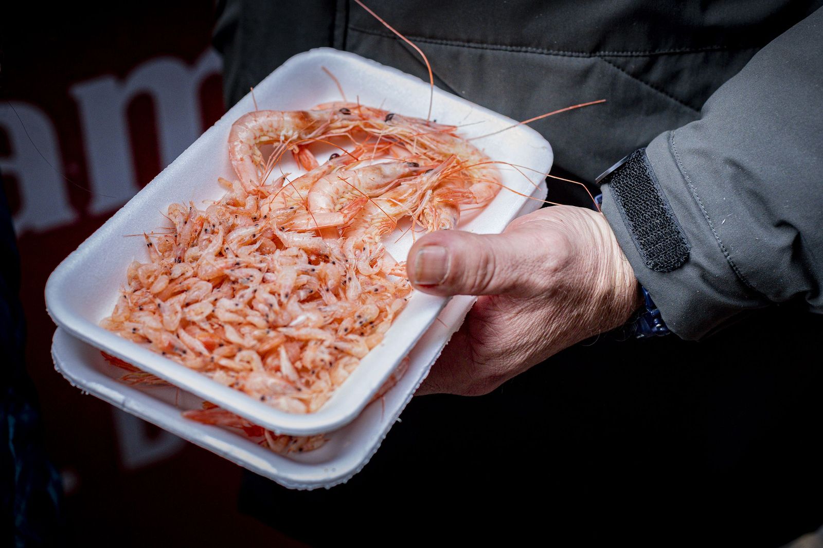 Las imágenes de la erizada popular del Carnaval de Cádiz 2026