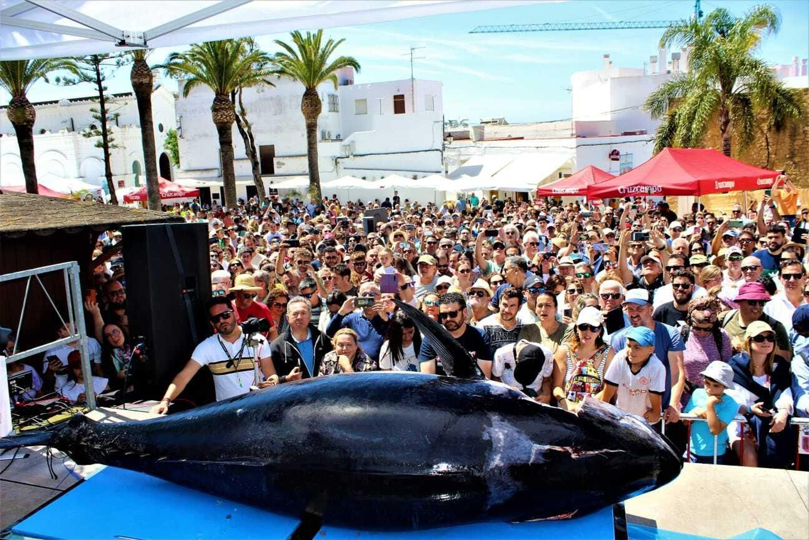 Semana del Atún de Conil
