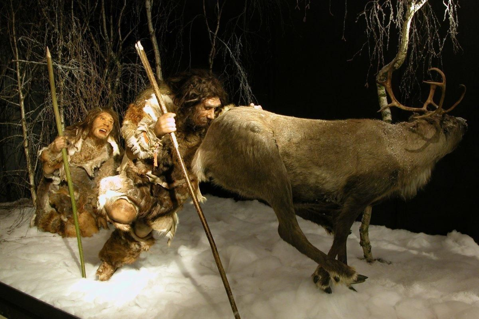 Exposición de dinosaurios en el Estadio de la Cartuja, Dino Expo XXL.