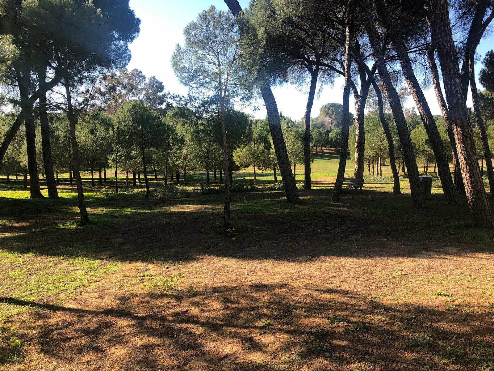 Arboleda del pulmón verde de Alcalá de Guadaíra, uno de los parajes más importantes del área metropolitana de Sevilla.