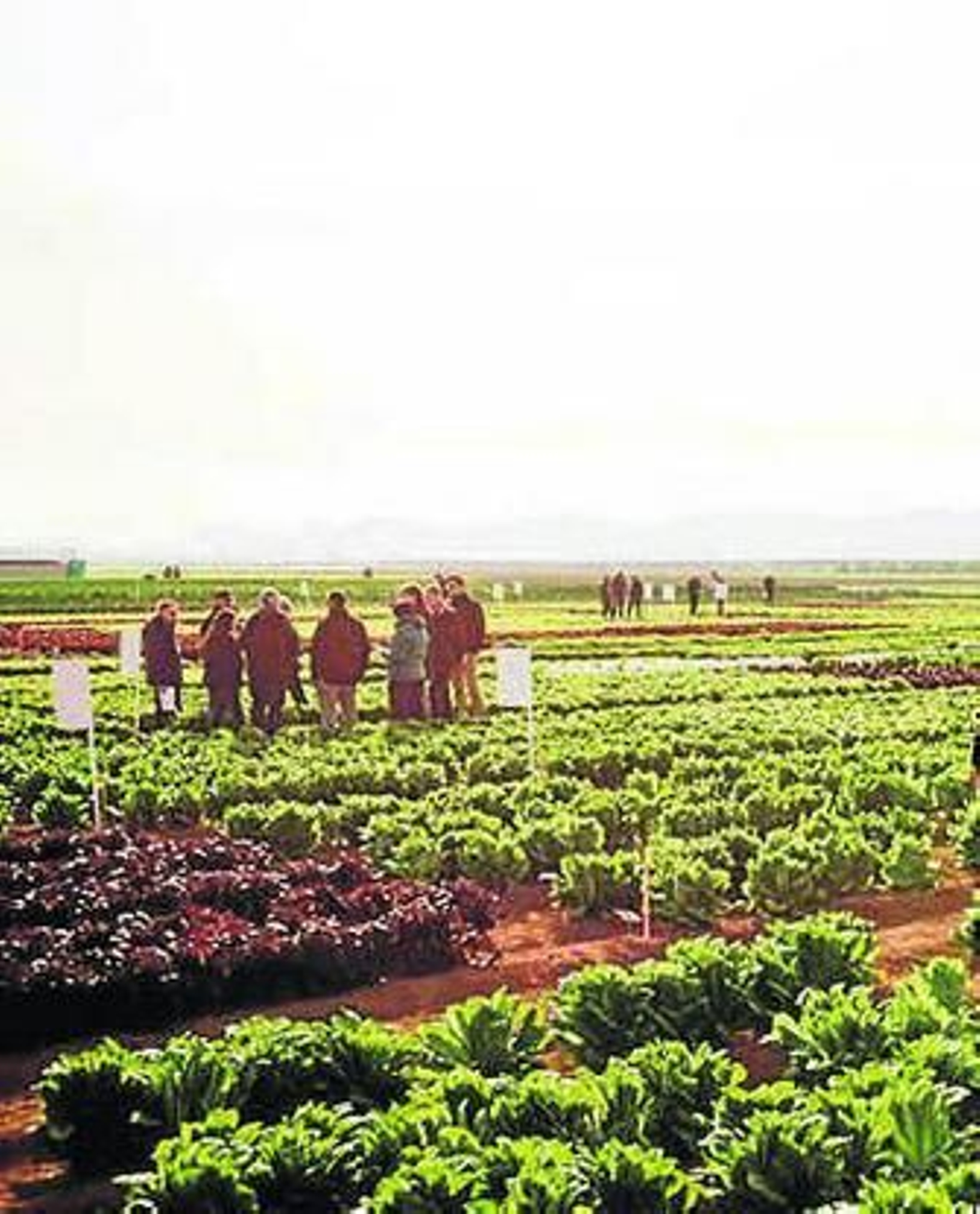 Participantes en el encuentro.