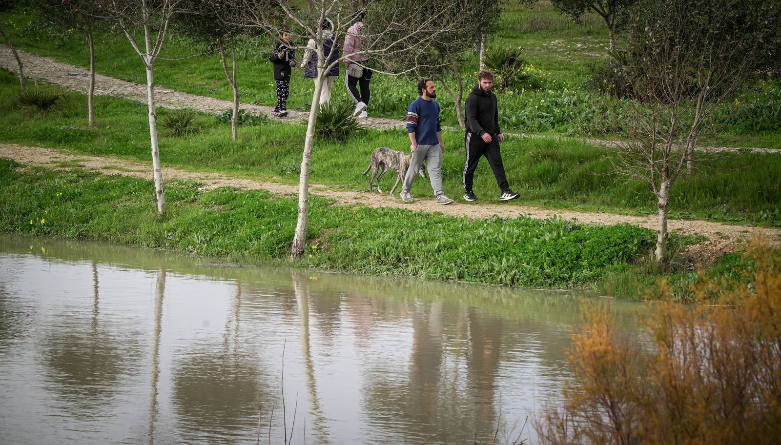 Un día tranquilo en el rio Guadalete, en imágenes