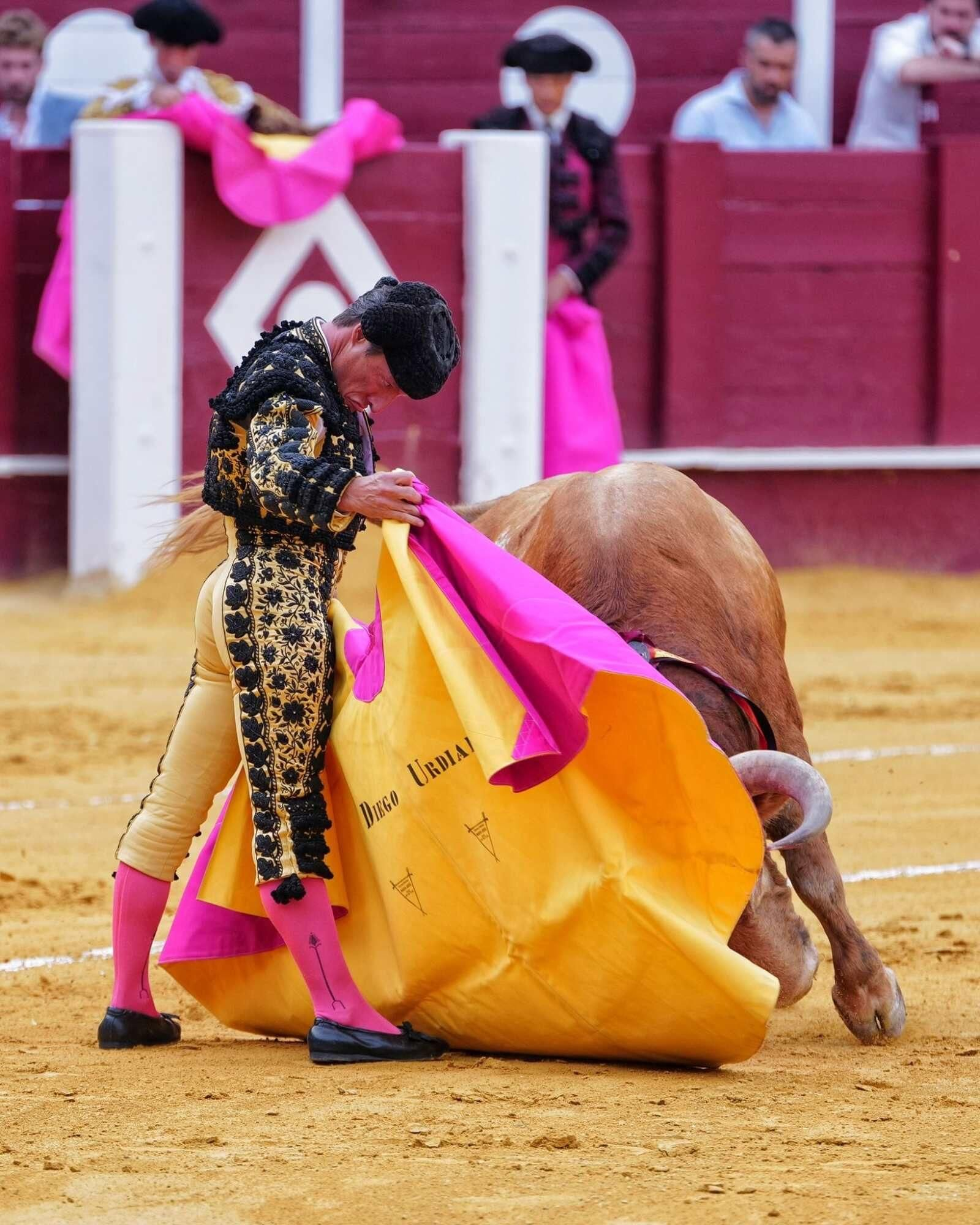 Verónica de Diego Urdiales