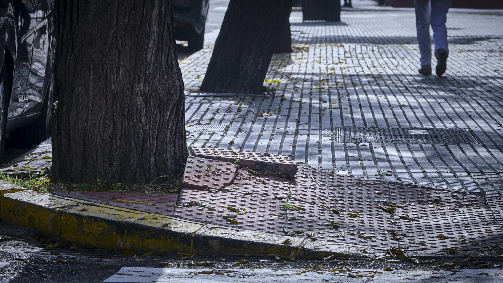 Losas y alcorque deteriorado en el acerado frente al colegio Las Esclavas.