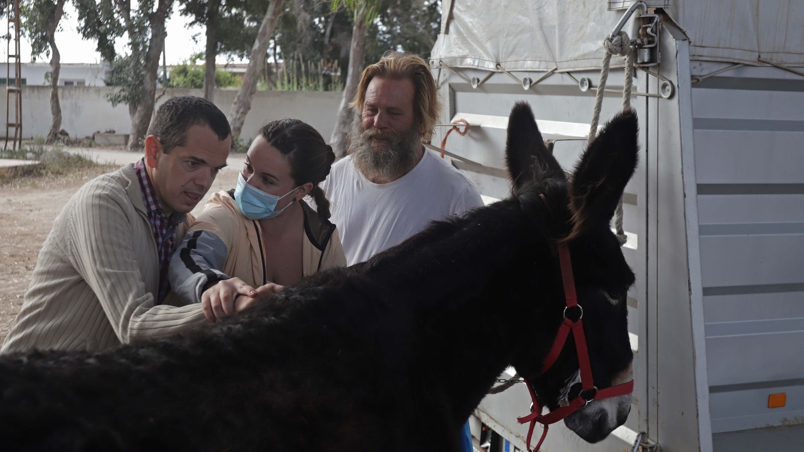 Sesión  de burroterapia con usuarios de Asansull en Palmones