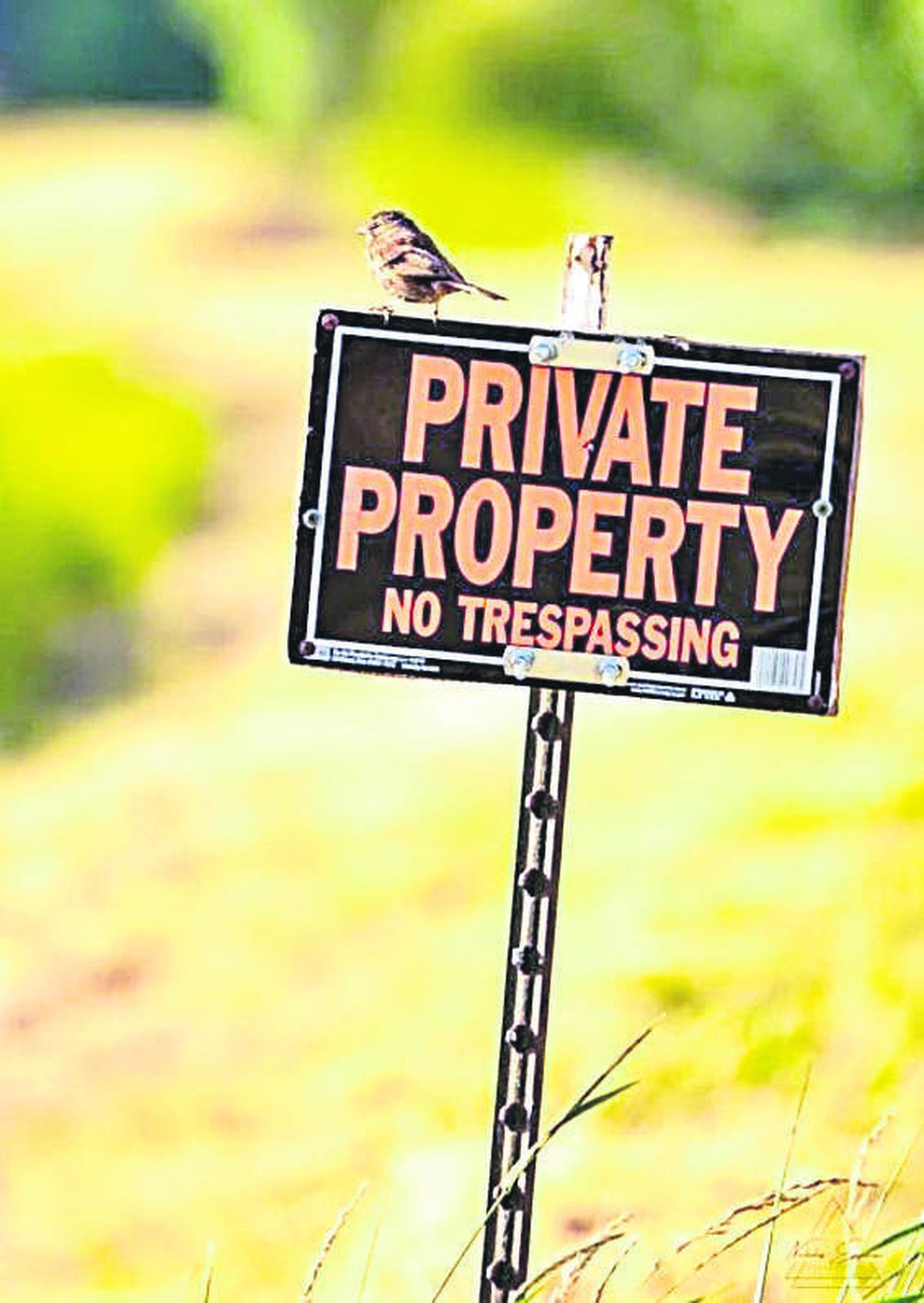 La propiedad privada no puede ser una lotería