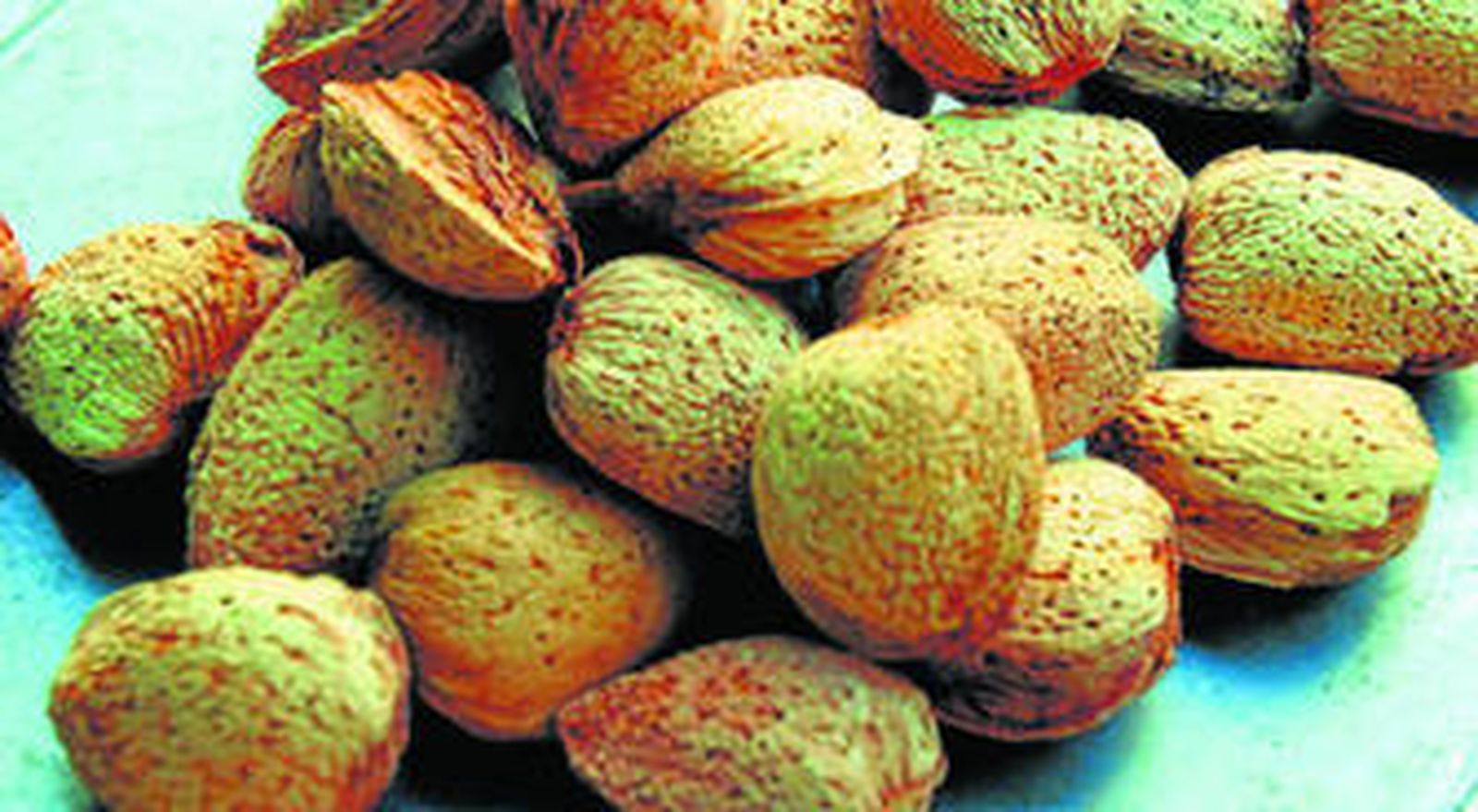 La mejor manera de consumir omega 3 es a través de alimentos que lo contengan de forma natural, como el pescado.