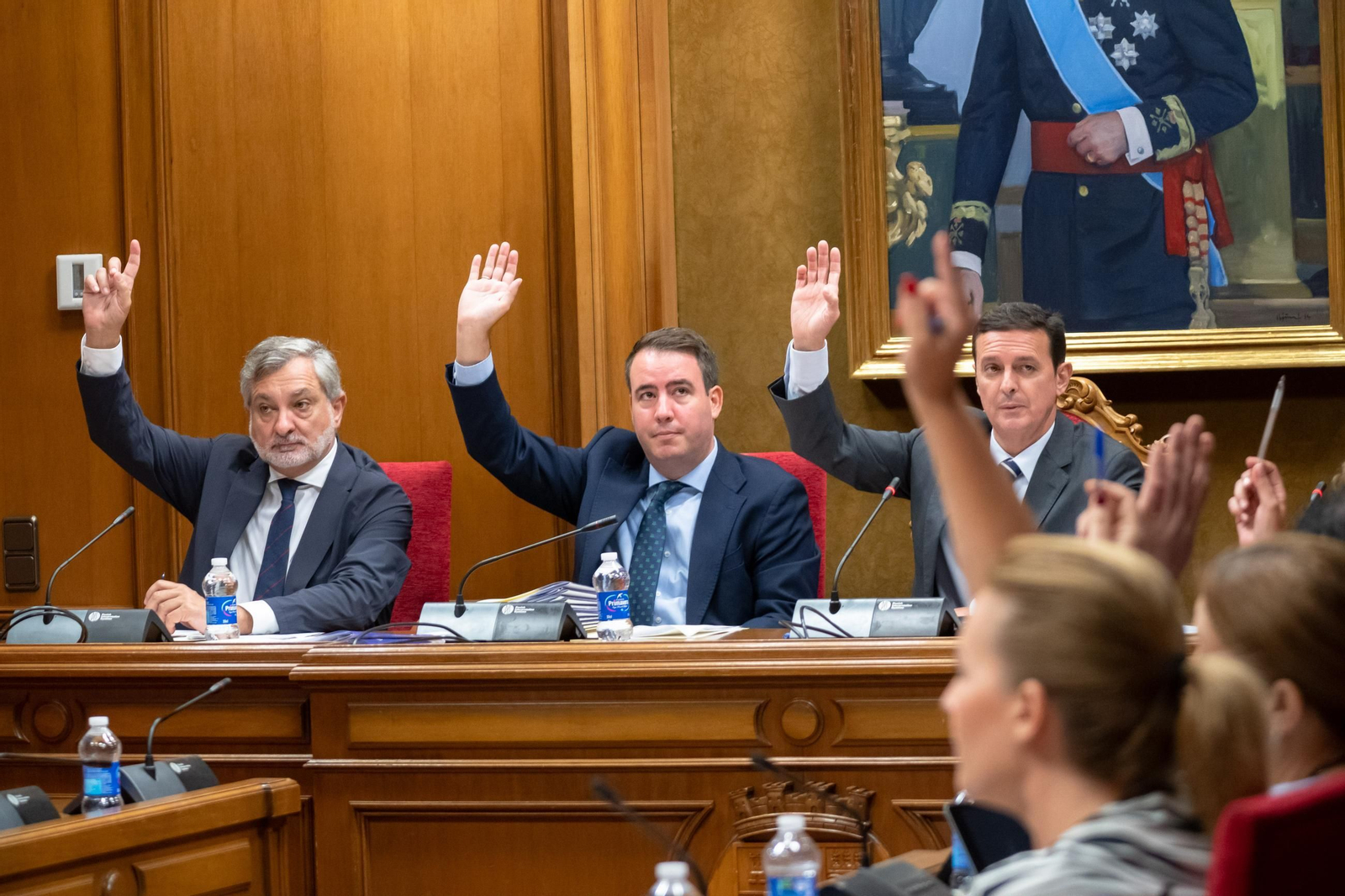 Momento de la sesión plenaria en Diputación