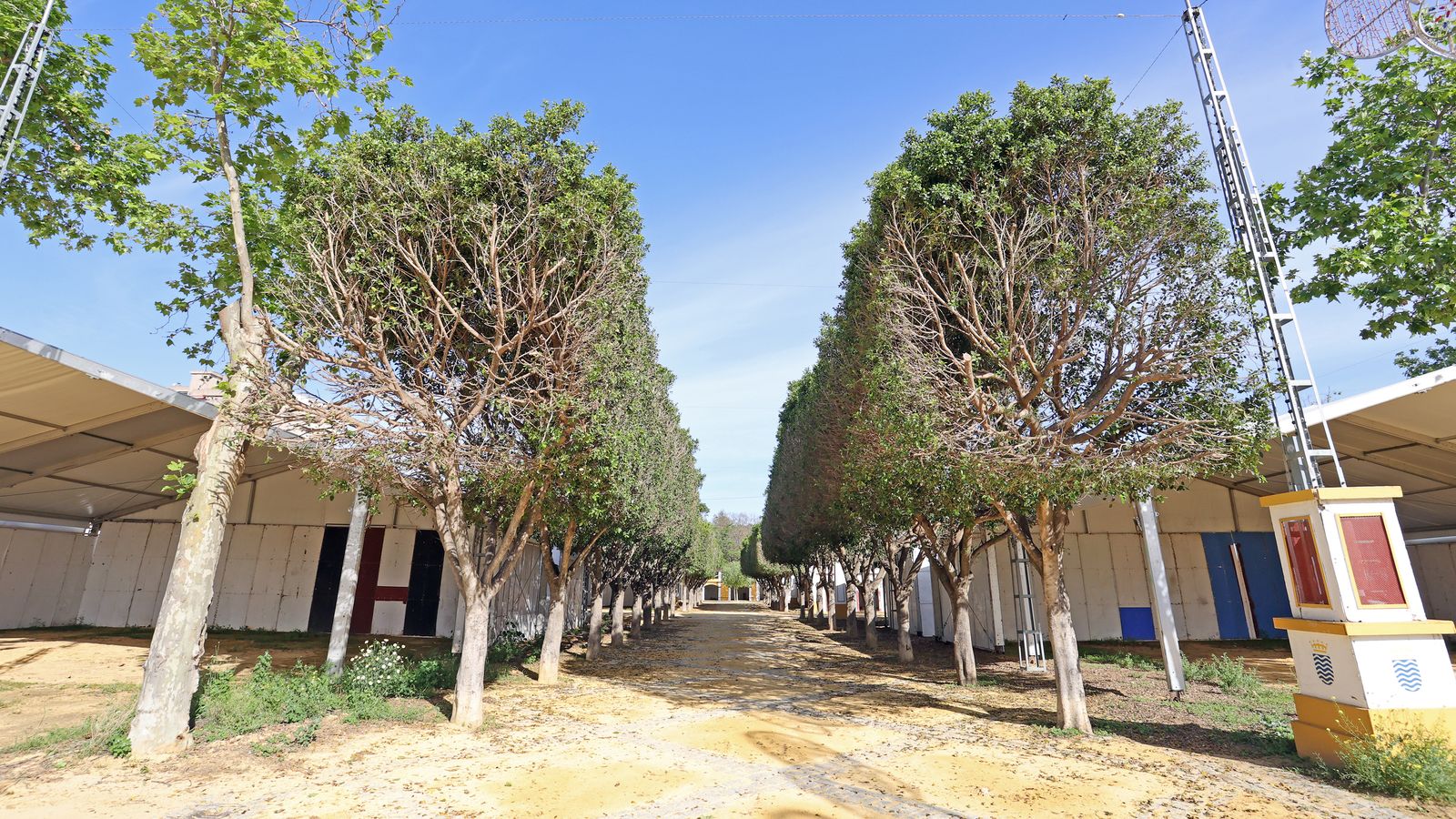 Preparativos de la 'Feria del Caballo 2022'