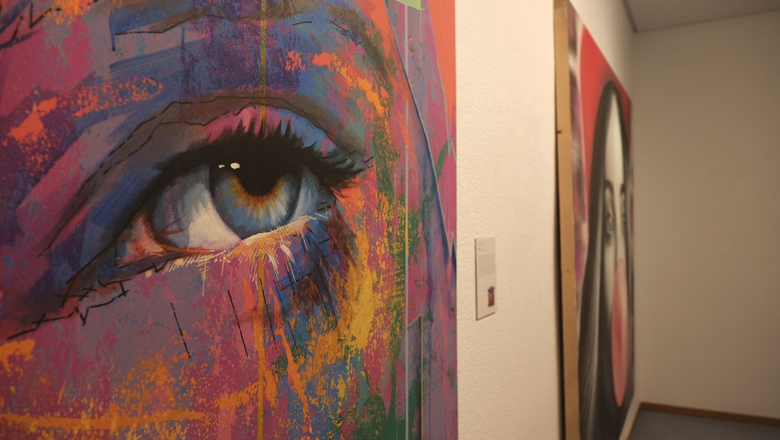 Imágenes de la exposición 'De la Calle al Museo'. Museo de Arte de Almería