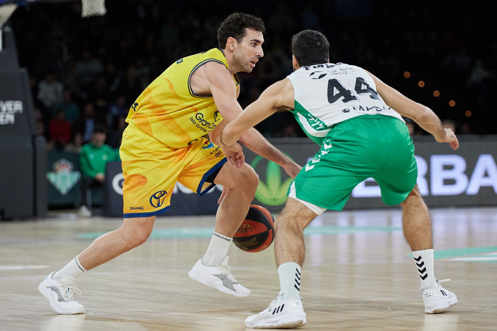 Las fotos del gran triunfo del Betis Baloncesto sobre el Gran Canaria