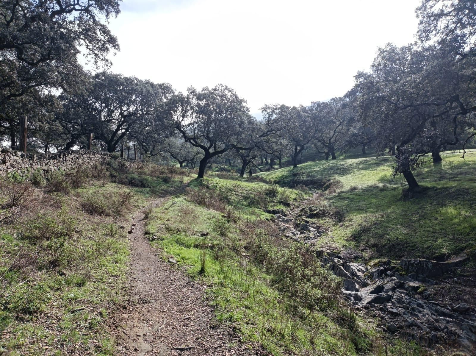 A la izquierda un murete; a la derecha el Barranco de la Umbría.