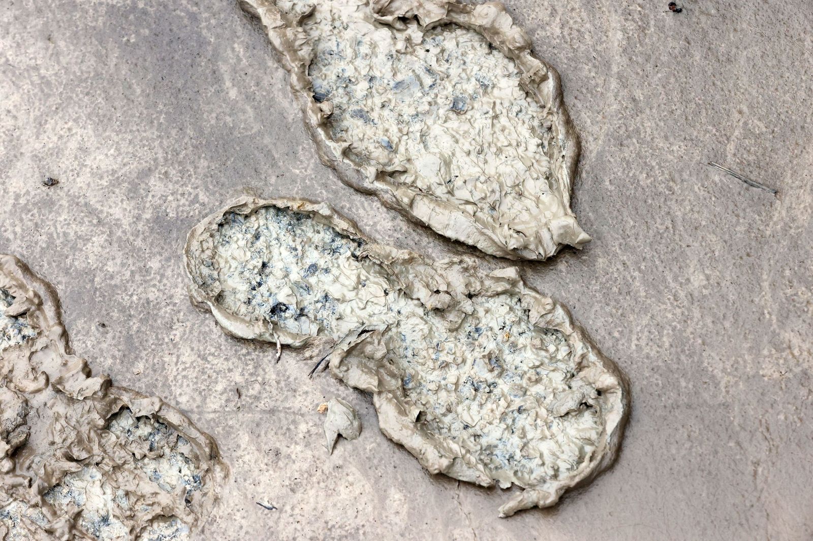 Vuelta a sus casa en La Ina, La Corta y El Portal