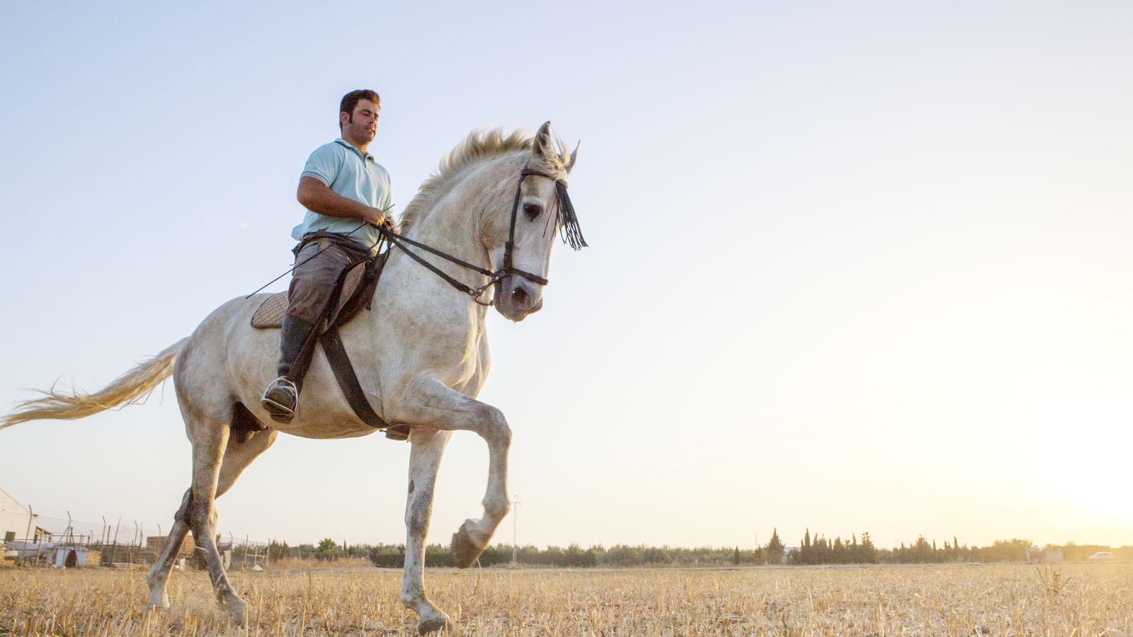 Andalucía tiene un programa turístico dedicado al mundo ecuestre.