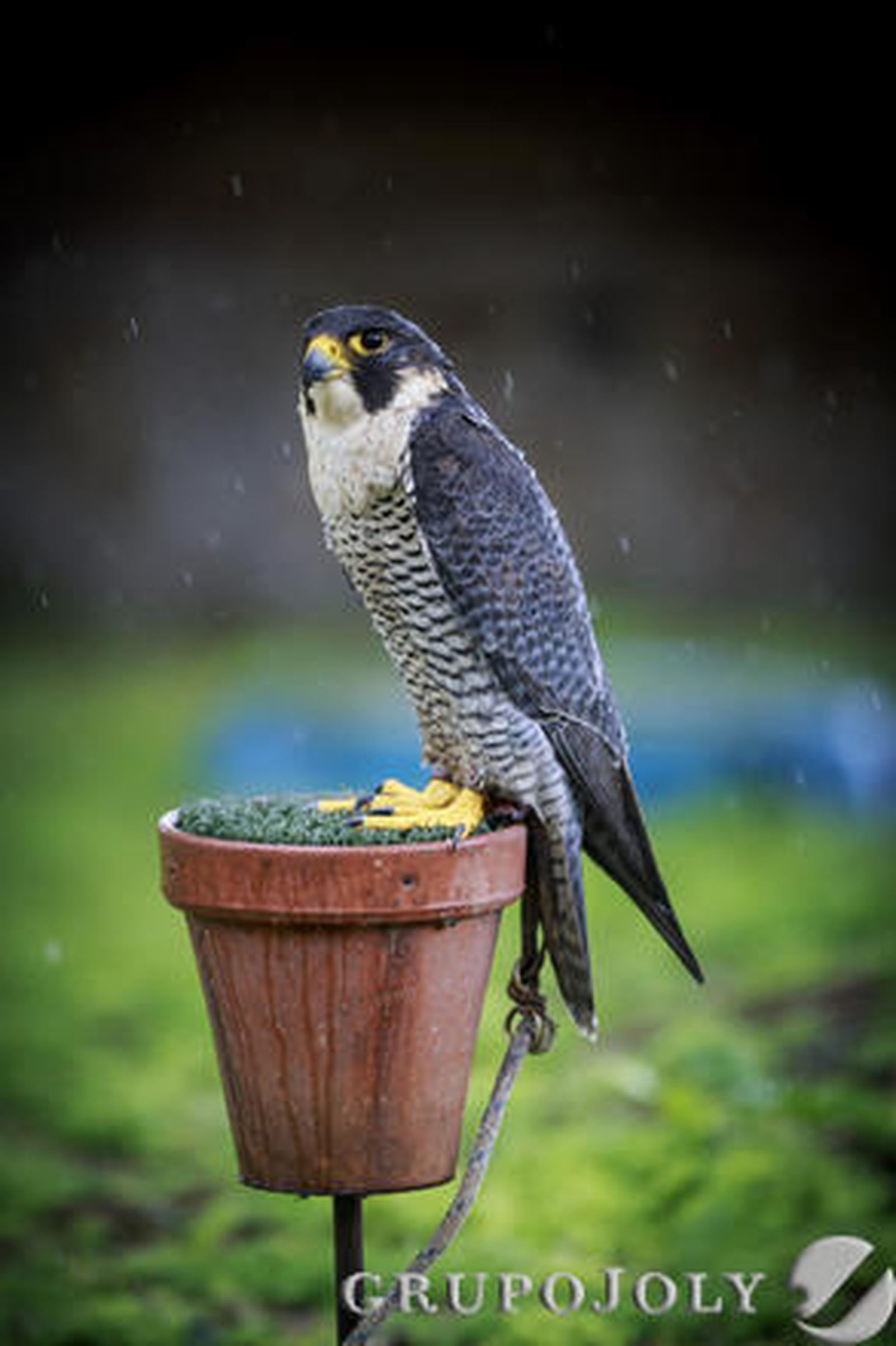 Foto: Julio Gonzalez