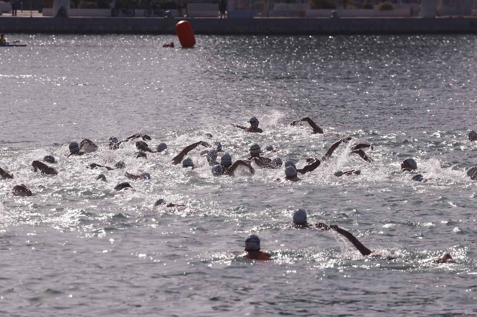 La travesía a nado del puerto de Málaga, en imágenes