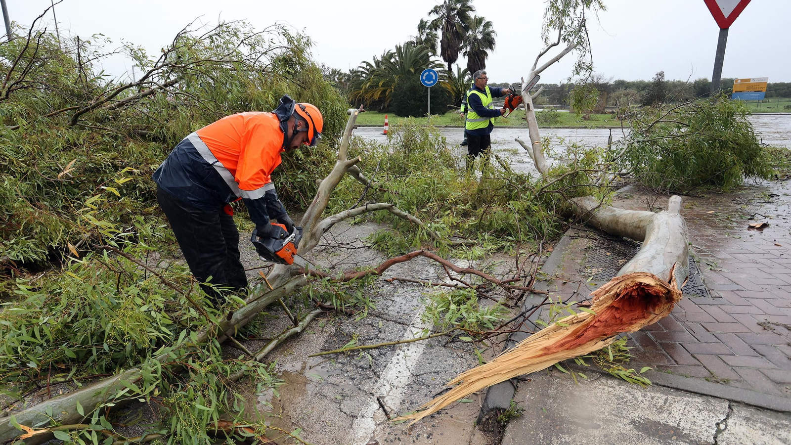 Imágenes del temporal de viento y lluvia en Jerez