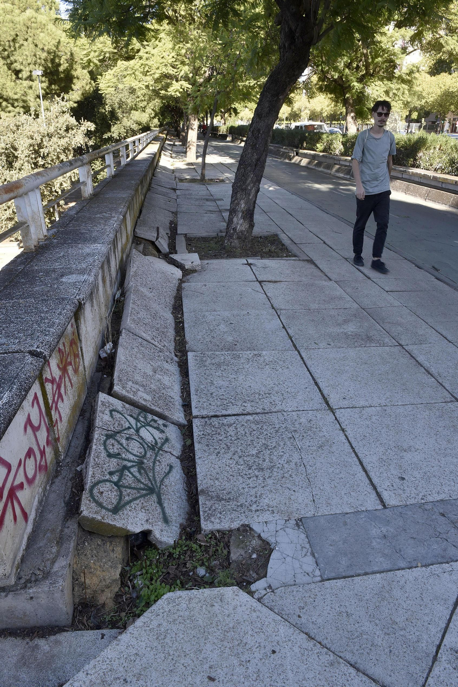Desperfectos en el entorno del río