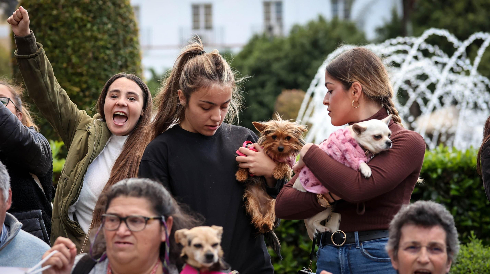 Protestas por el asesinato del perrito 'Oddie' en Jerez