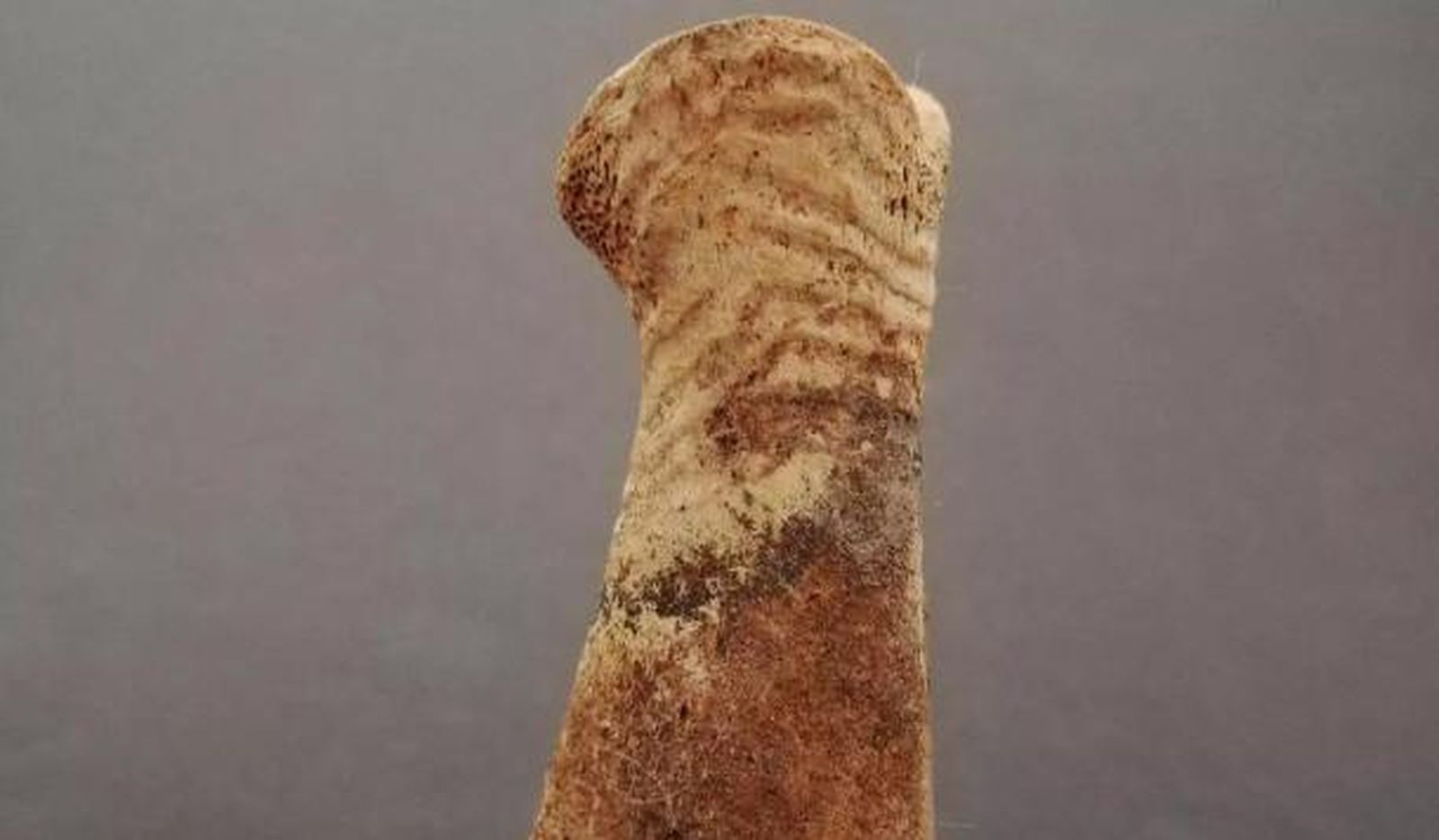 Hallan un ajuar funerario de la Edad de Cobre en las de las Cuevas de Fuentes de León