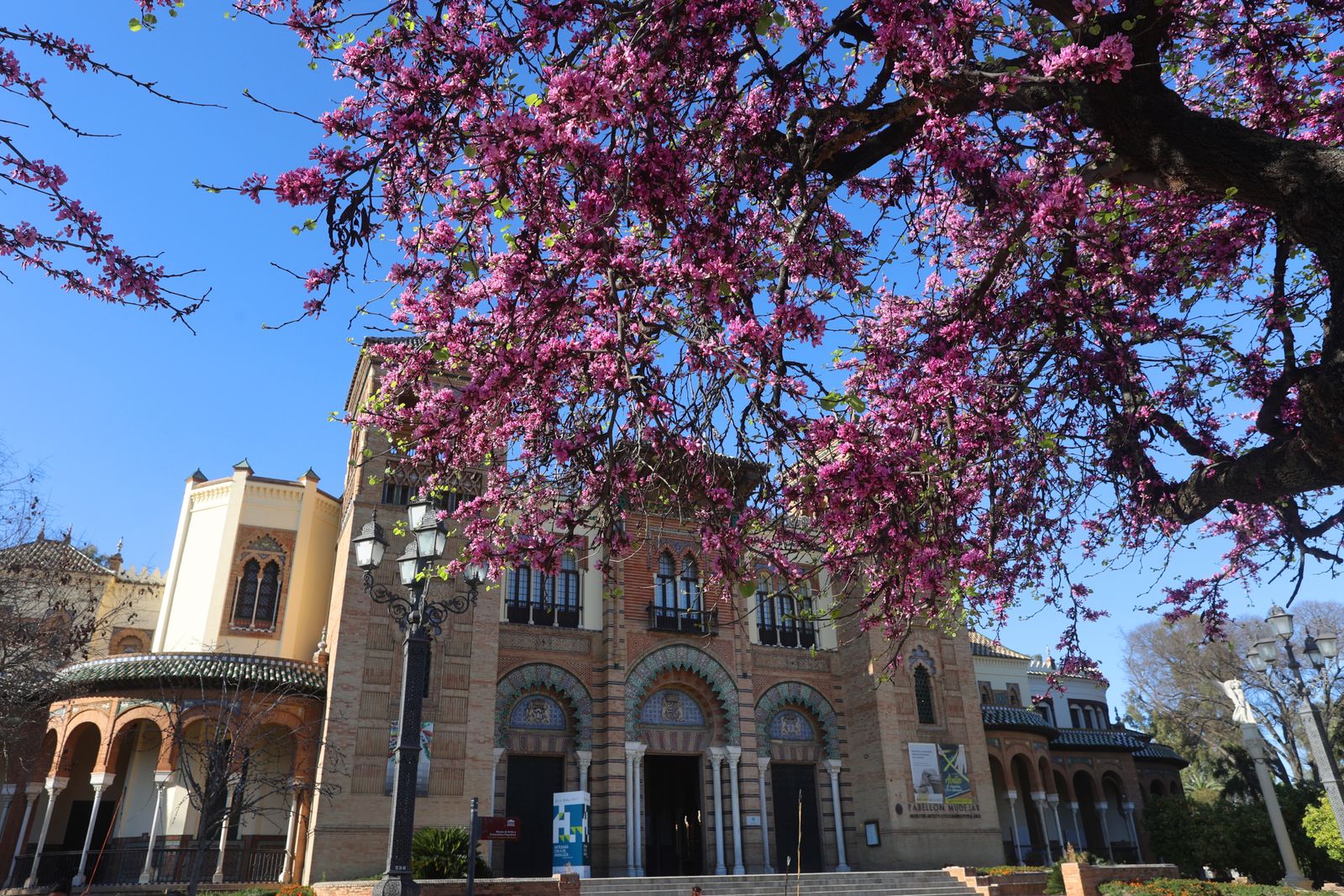 Comienzo de la primavera en Sevilla