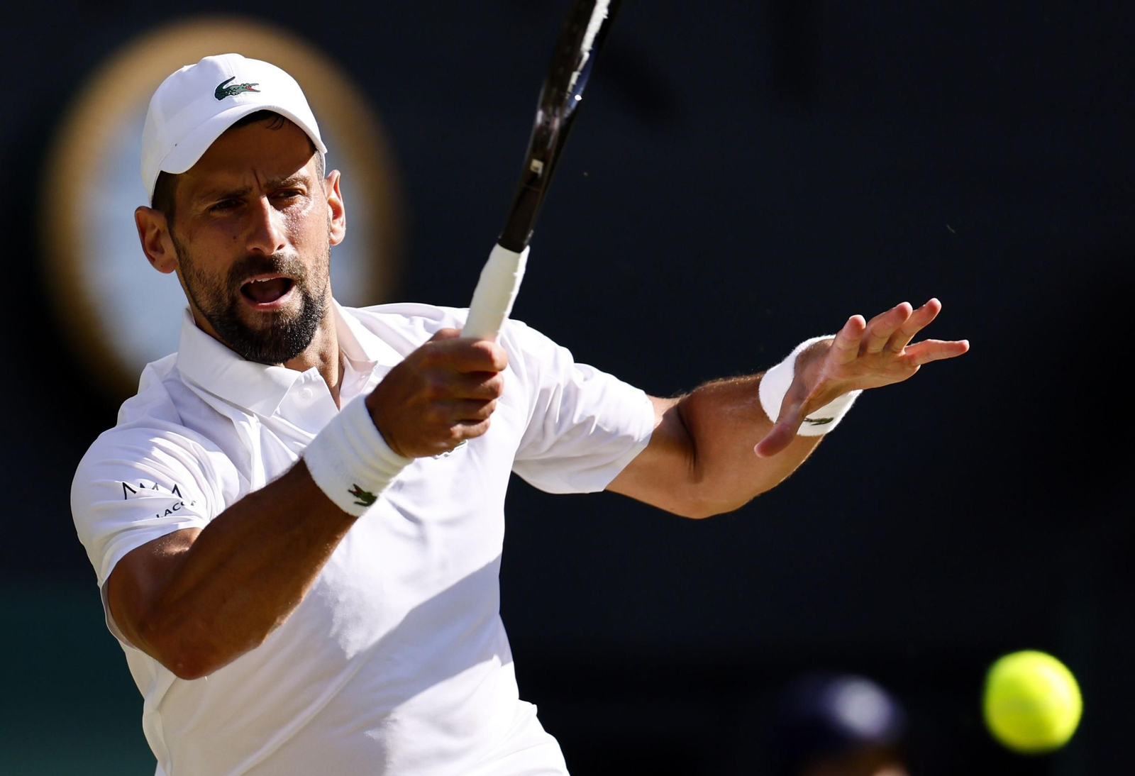 Las mejores imágenes del Sinner - Djokovic Las mejores imágenes del Sinner - Djokovic