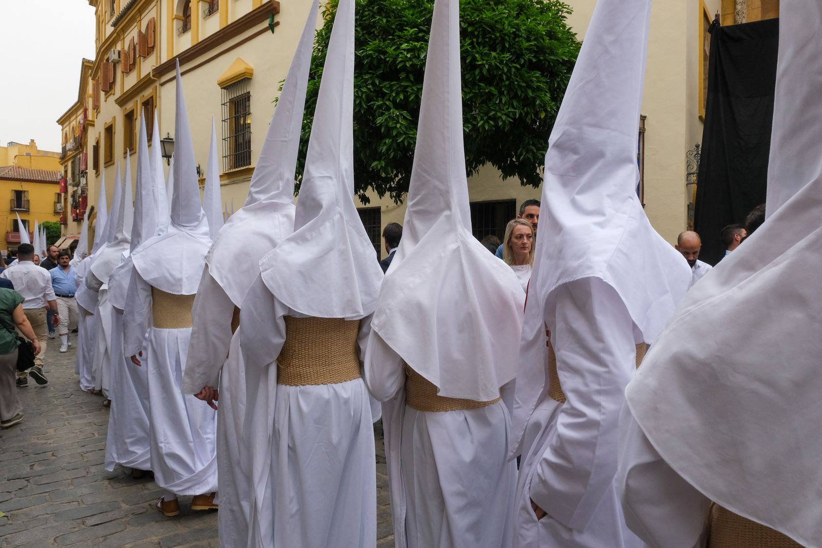 LAS IMAGENES DE LA HDAD DE LA AMARGURA EN SEVILLA SEMANA SANTA 2024