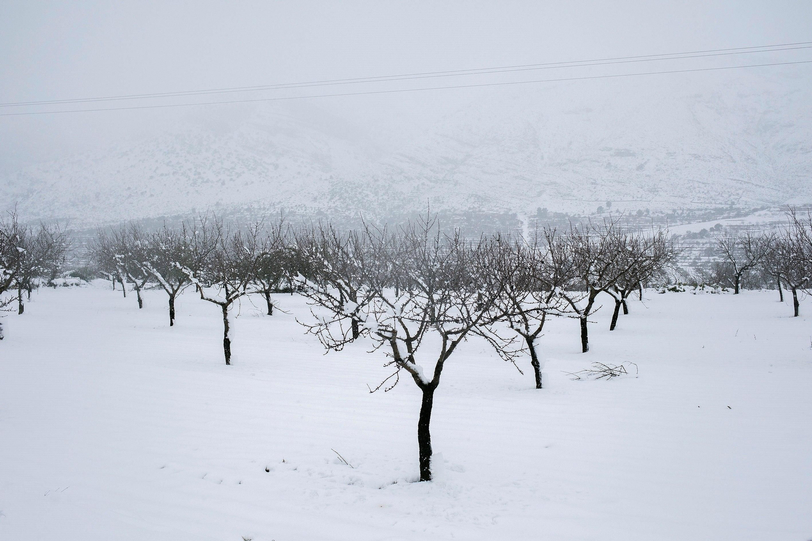 El segundo día del temporal 'Filomena' en imágenes: más nieve y caos