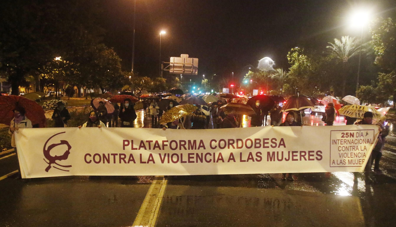 La manifestación del 25N, en fotografías