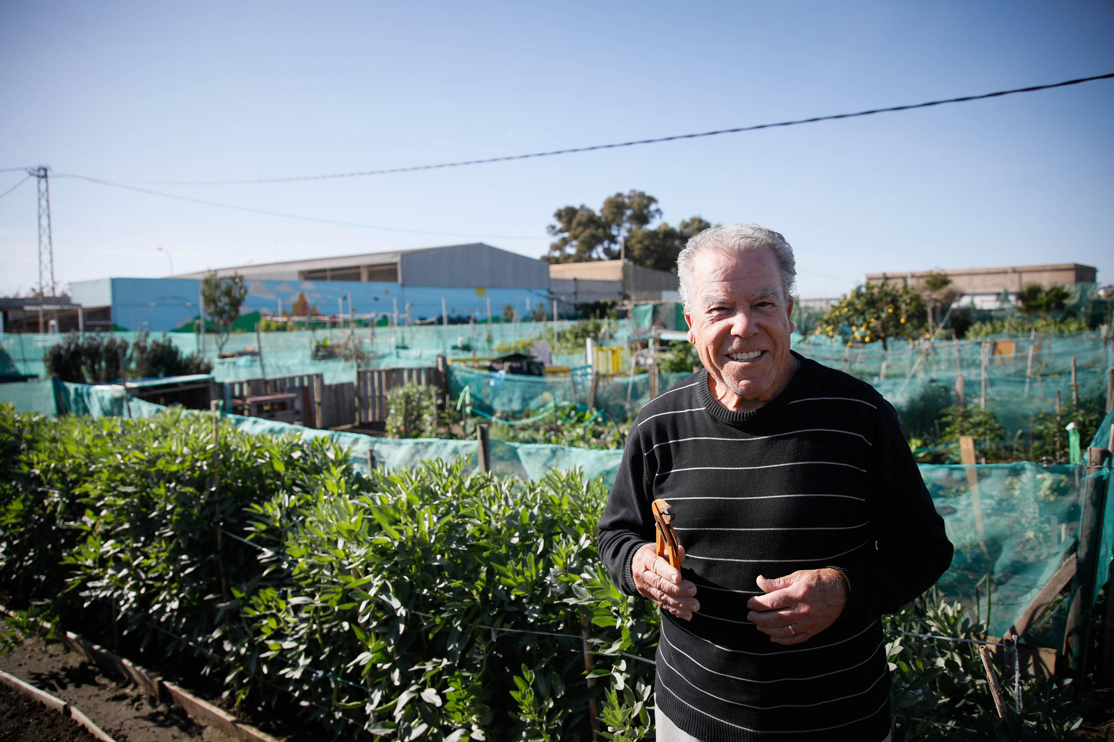 Imágenes del huerto urbano de La Cañada