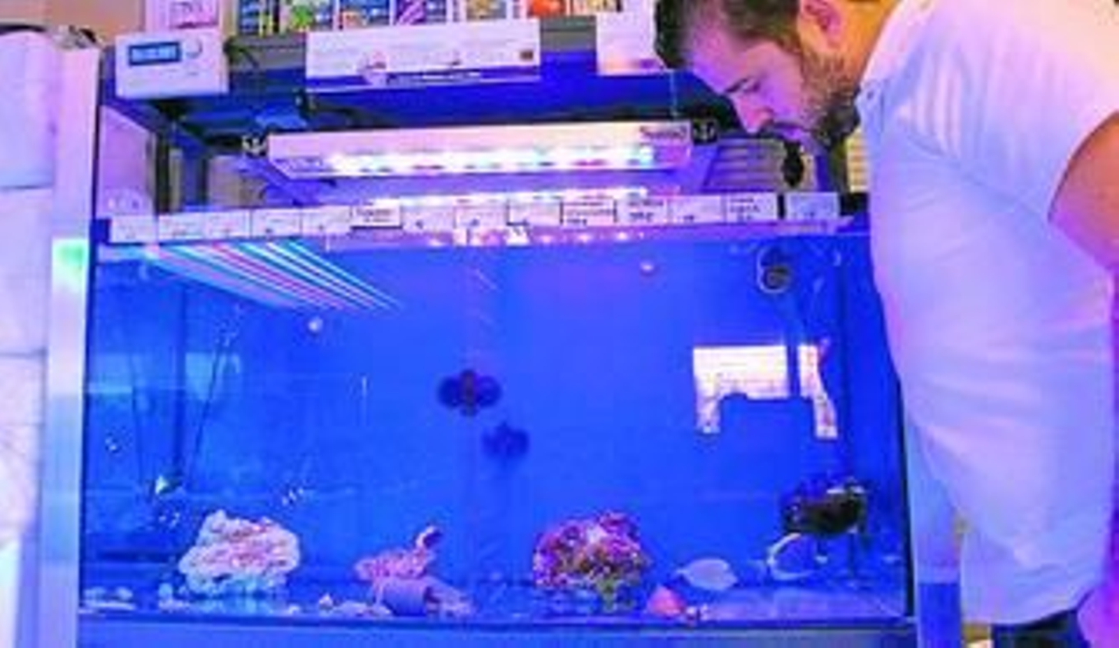 Acuario con alguna de las especies que se cultivan.