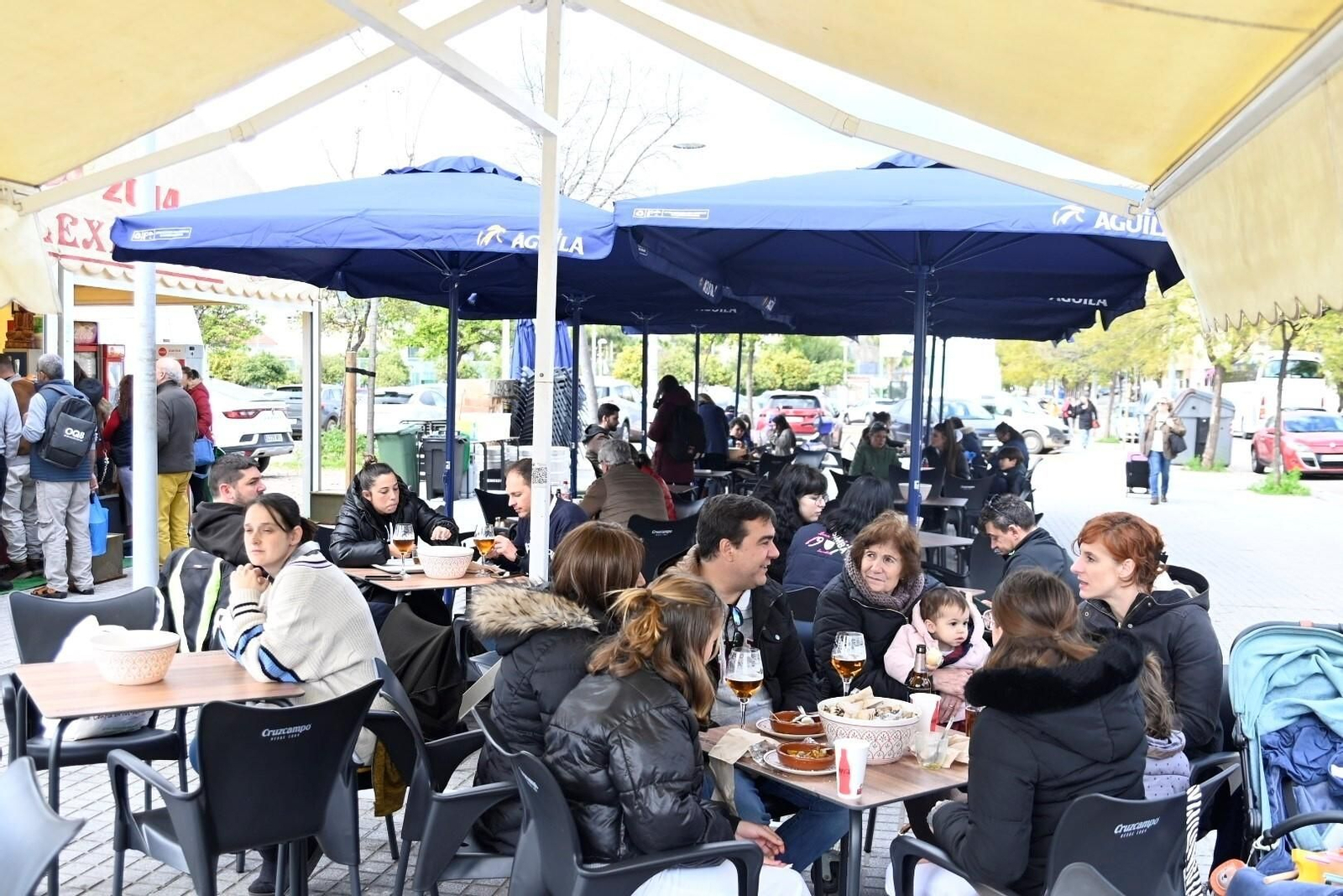 El inicio de la temporada de caracoles en Córdoba, en imágenes