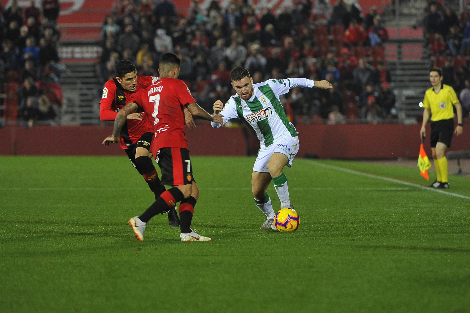 Las imágenes del Mallorca-Córdoba