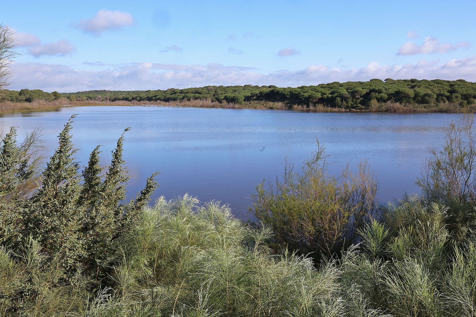 Las imágenes del Portil tras el paso de la borrasca Laurence