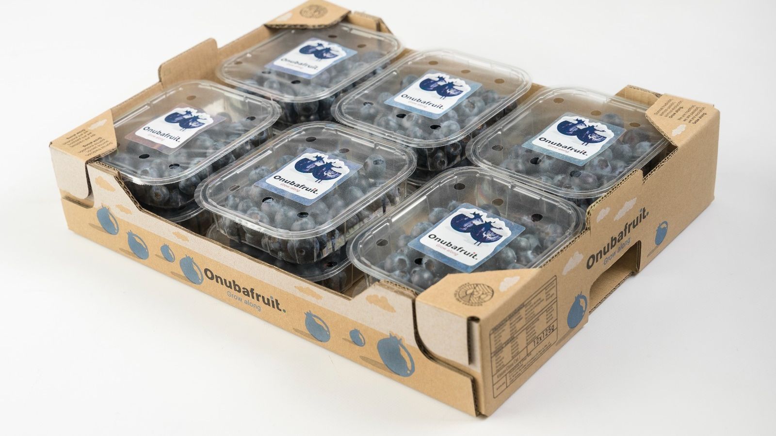 Onubafruit, especialista en la comercialización de arándanos.