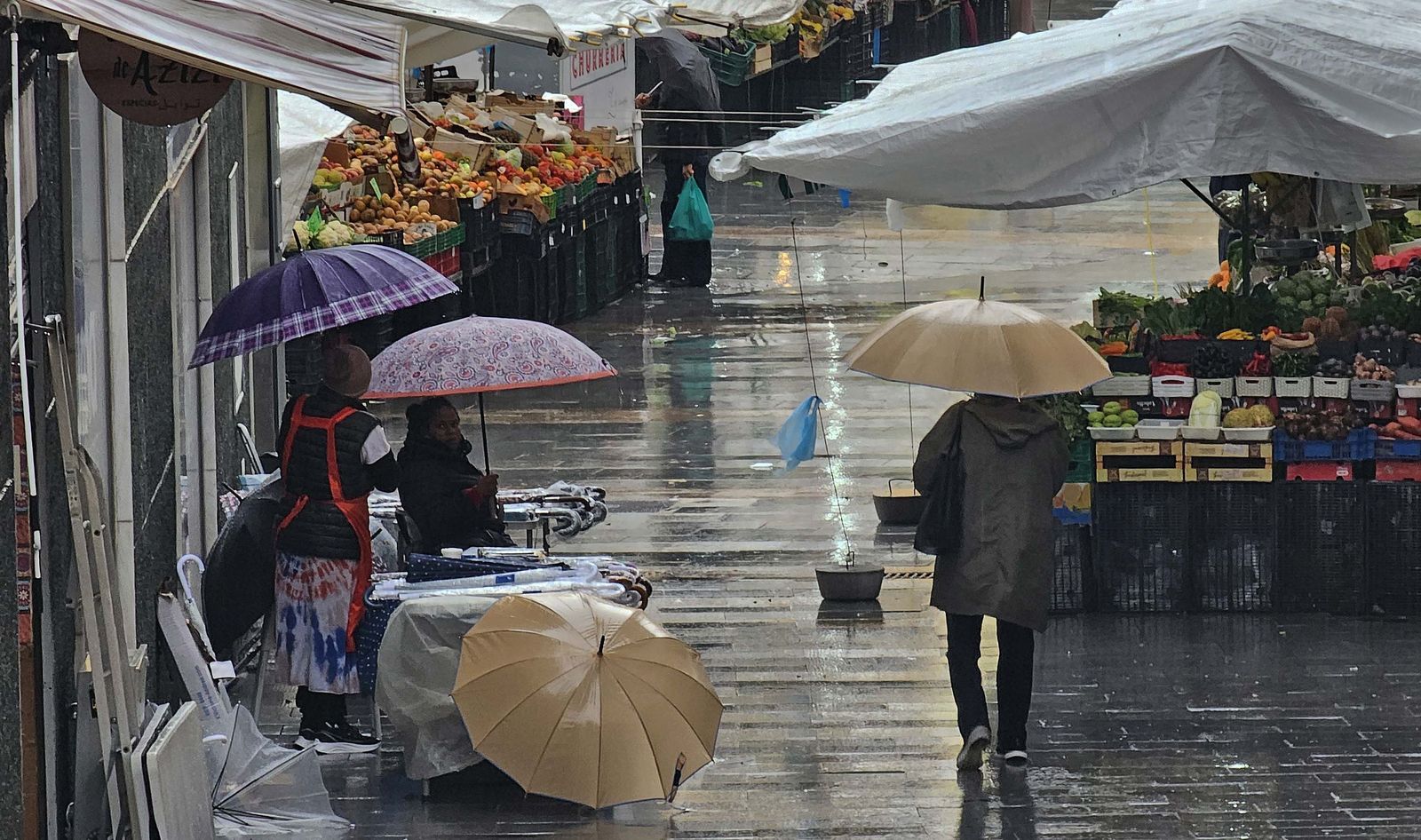 Fotos de los efectos de la borrasca Leonardo en Algeciras