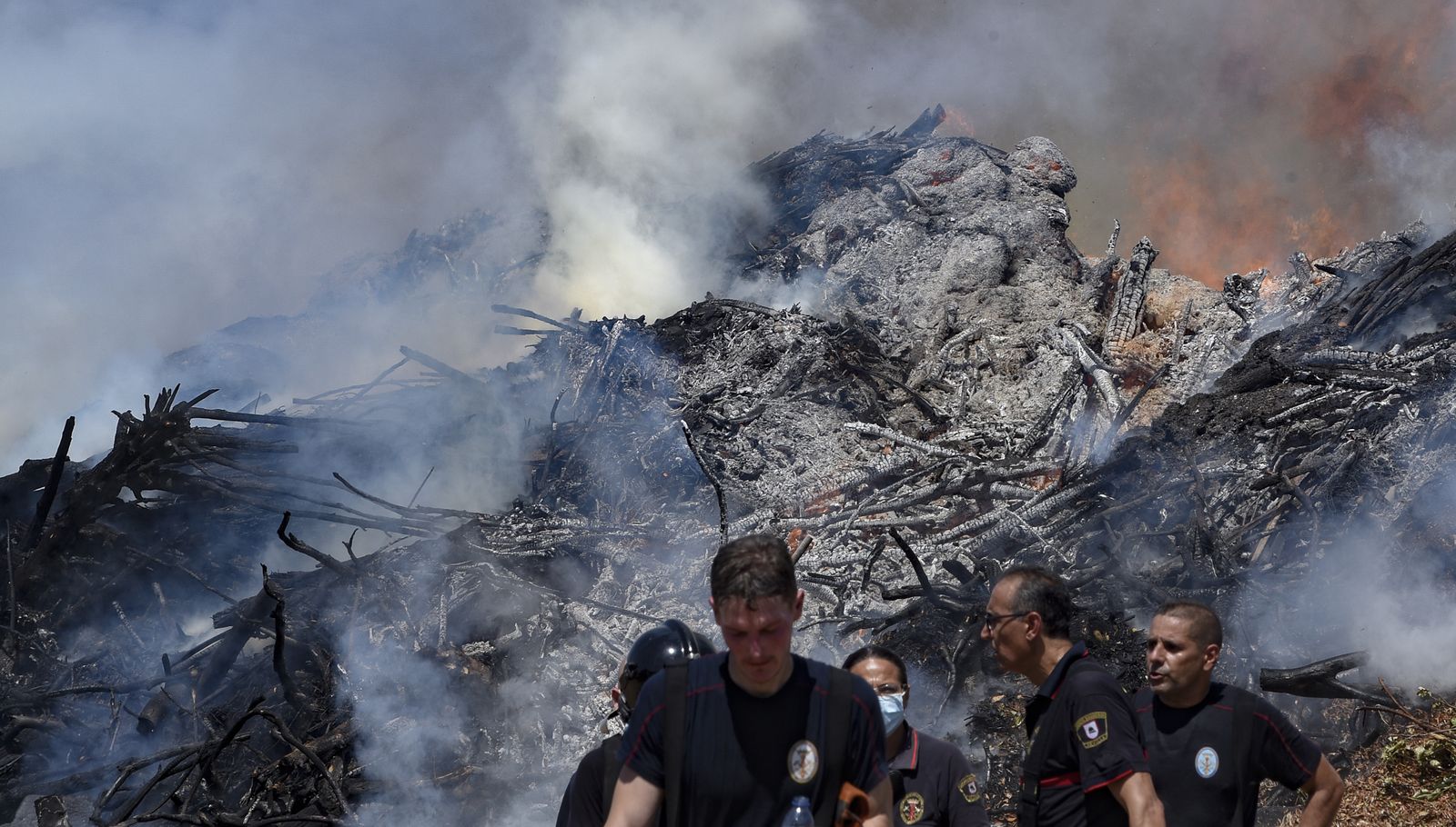 Bomberos de Sevilla extinguen un incendio en una empresa residuos vegetales