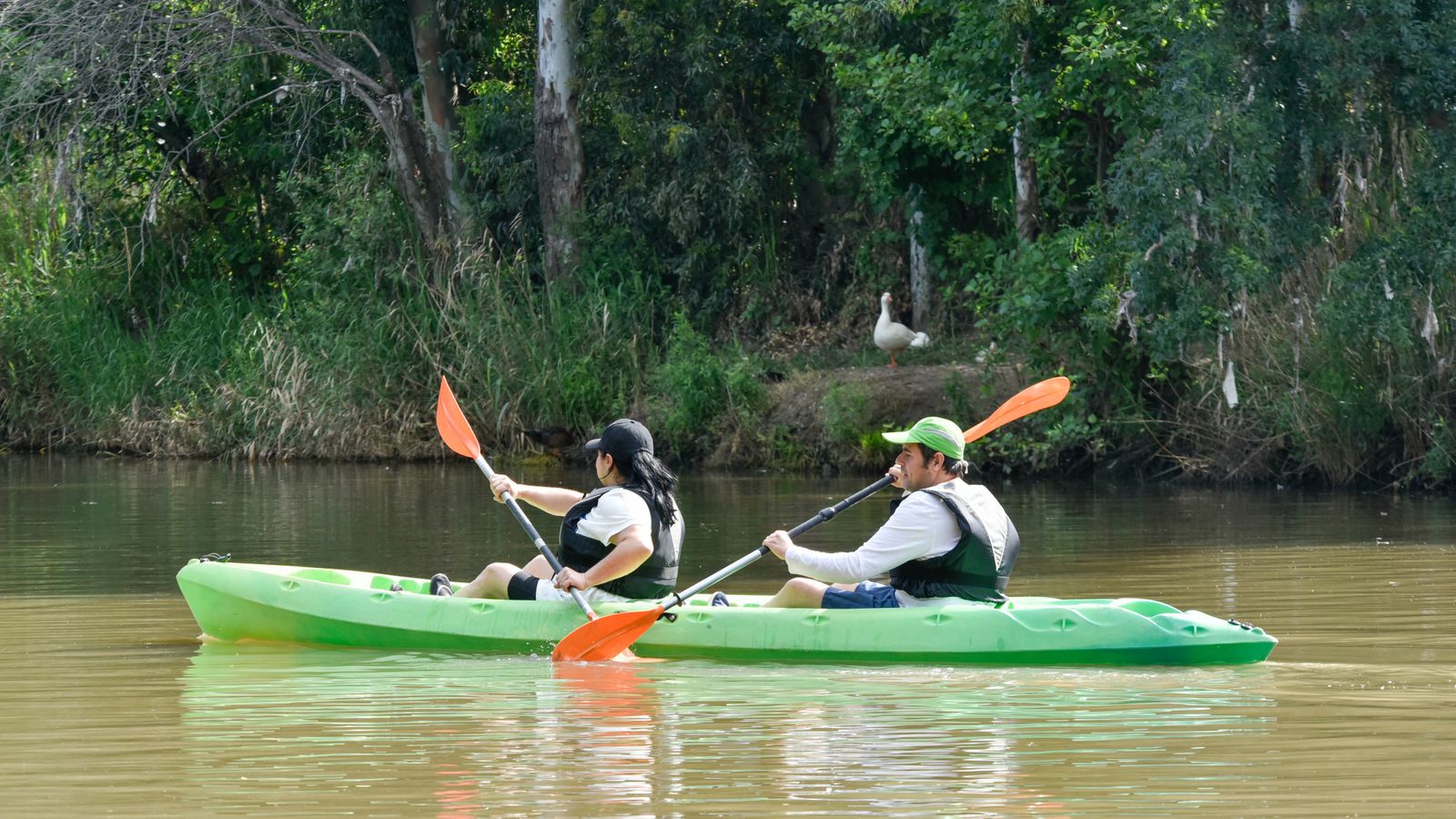 Ruta en kayak por El Palmones