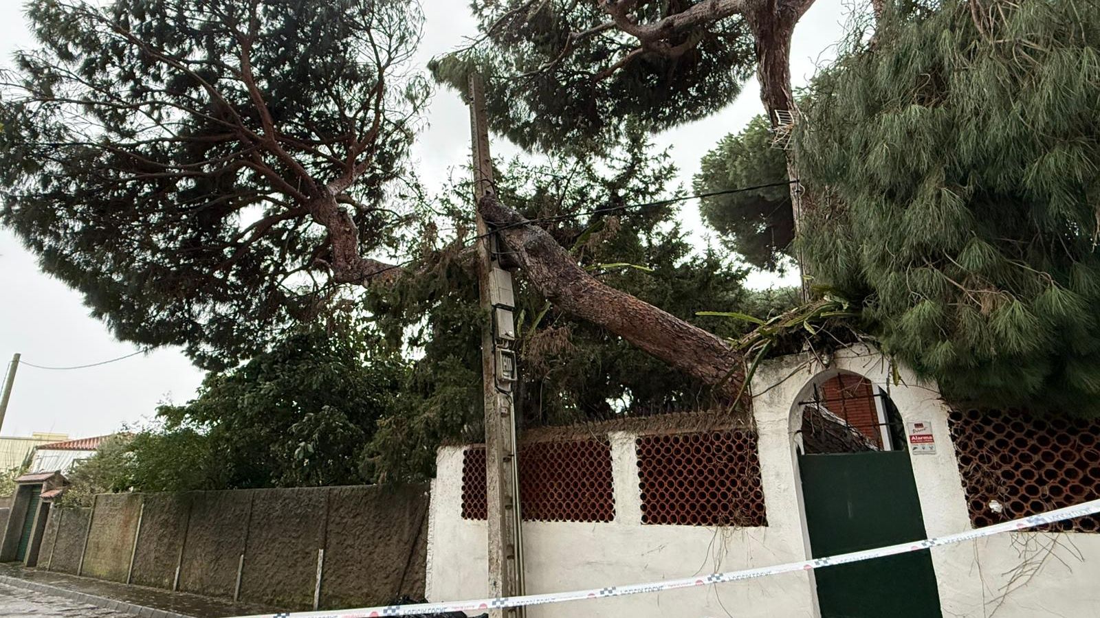 Un tronco en situación precaria en el jardín de una vivienda.