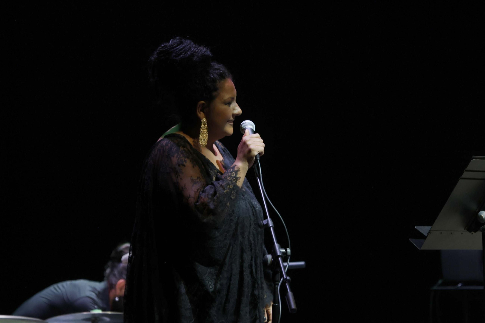 Fotos del concierto de la familia de Camarón en La Línea Flamenca