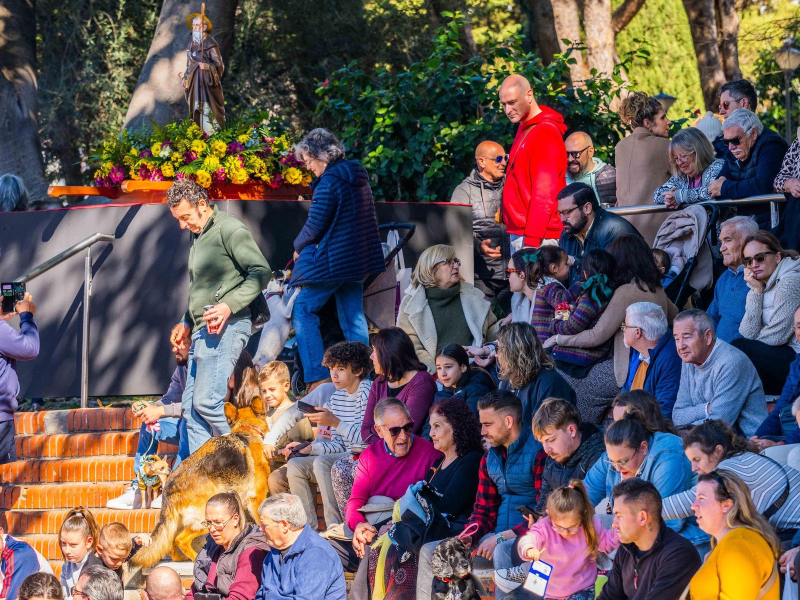 Las imágenes de San Antón 2025 en San Fernando